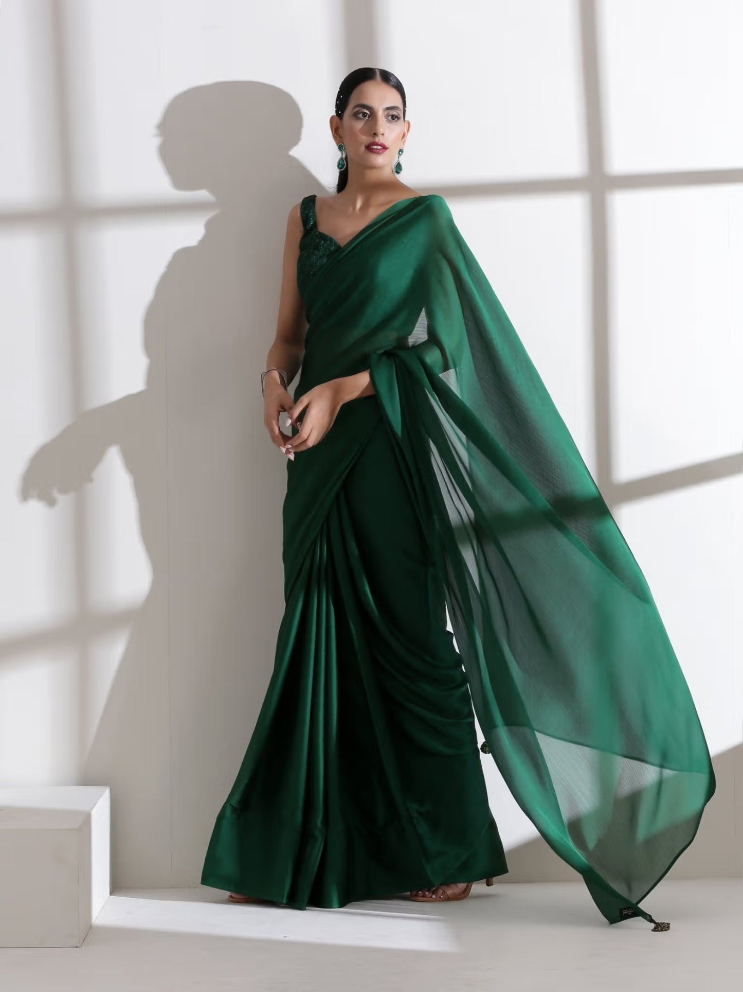 Green Sari with Embroidered Blouse