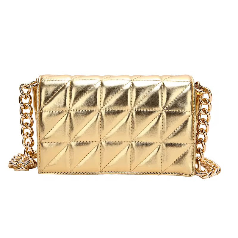 Metallic Cross Body / Clutch Bag